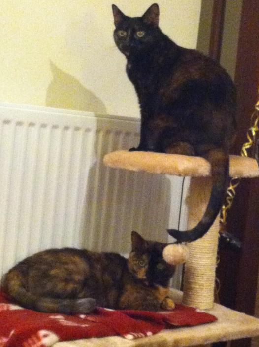 Elsie and Margot